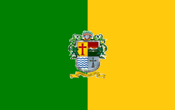 Bandera de Zapotlán el Grande